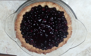 Anne's Blueberry Pie