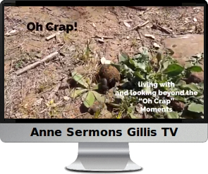 Click image to
                  watch Anne's prosperity video.