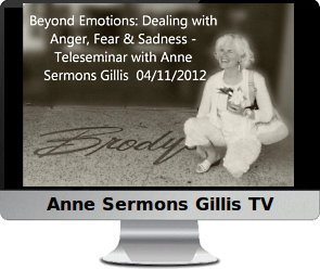 Click to watch Emotions and Going Beyond, by Anne Sermons Gillis