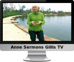 Click to view the Like Everyone video by Anne Sermons Gillis