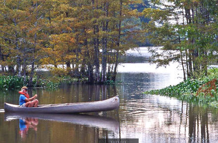 Click to visit Martin Dies State Park