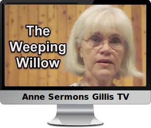 Clck to watch Anne's video, The Weeping Willow.