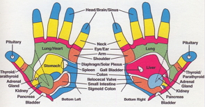 Hand Reflex Points