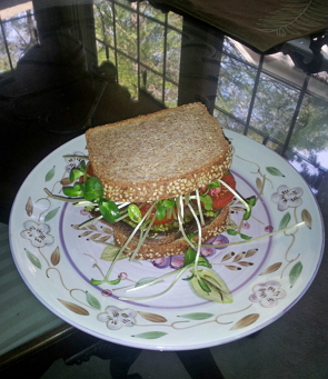 Mushroom Sandwich