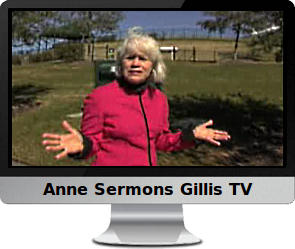 Click to view the The Power in Other People video by Anne Sermons Gillis